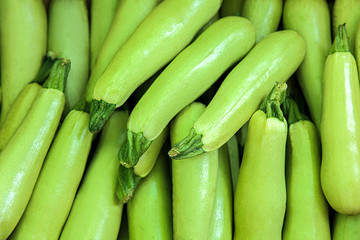 Heap of tasty fresh squashes