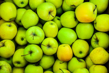 Heap of tasty fresh apples