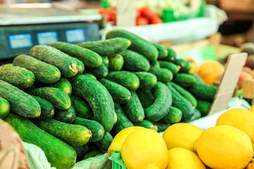 Fresh cucumbers on counter at market