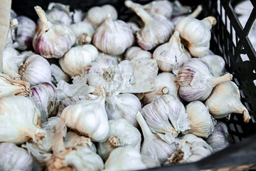 Fresh garlic on counter at market