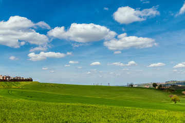 Obraz premium Colline del Monferrato