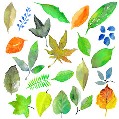 手描き　水彩　葉っぱ