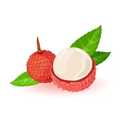 Fresh lychee or litchi chinensis with leaves. Half and whole exotic sweet fruits of round shape and red color. Source of vitamins. Cartoon vector illustration isolated on white background.