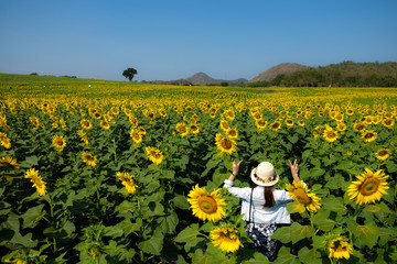 Beautiful girl standing on yellow sunflower field and raising hands. Young happy woman raised arms in the flower meadow. Agriculture concept.