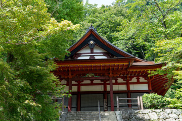 The shrines in Nara