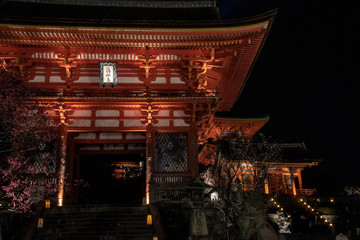 夜の京都の清水寺