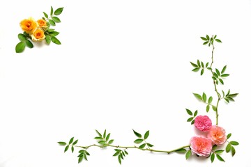 バラの花のフレーム