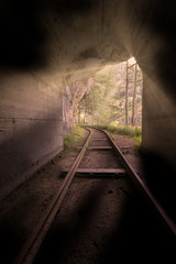 Fototapeta na wymiar Ancient railway tunnel in the woods