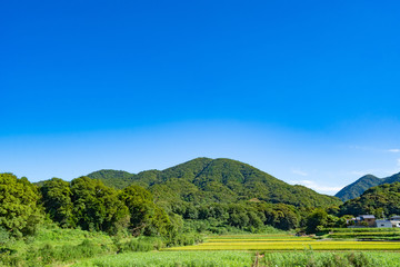 Fototapeta na wymiar Landscape of Awaji Island