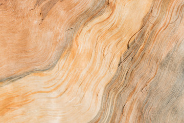 Textural image of the fibers of the felled and split logs
