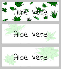 Horizontal banners, buisness card template with aloe vera plants. Vector illustration with green stains on white background