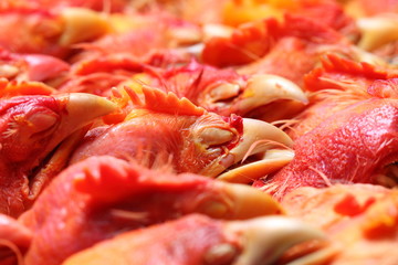 cabezas de pollo,gore