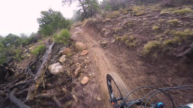 Mountain Biking On A Foggy Trail