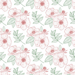 Floral seamless background with wild roses and leaves on the white background. Endless texture for design.