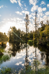 Pond
