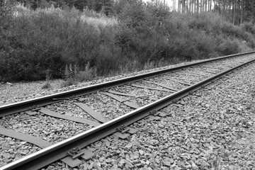 Obraz premium Un chemin de fer en Forêt-Noire