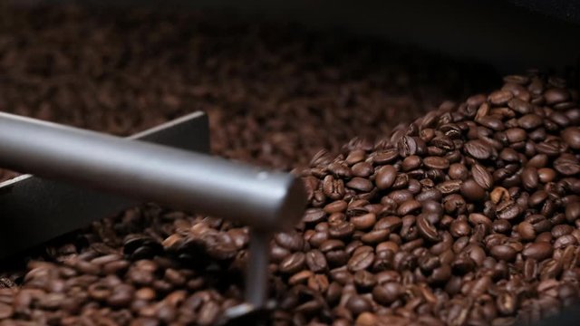 Freshly roasted coffee beans on a cooling tray, being mixed by a rotating mechanical arm, then being emptied