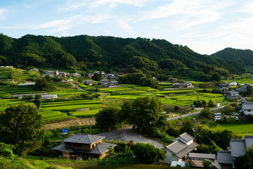 Fototapeta na wymiar Yoshino in Nara