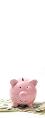 Pig piggy bank on the background of 100 US dollar bills and physical coins of bitcoins. Concept of wealth and exchange. Vertical banner for your text.