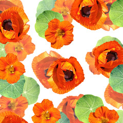 Beautiful floral background of nasturtium and poppy. Isolated