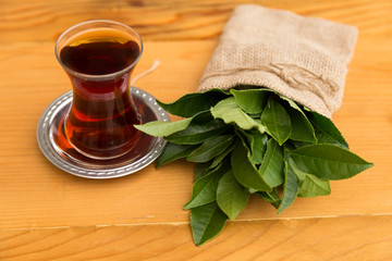 fresh tea sprouts and seeds in Rize from Turkey. step by step tea making stage.