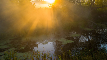 Dawn over the river, fog slowly rising from the water, its rays illuminate it