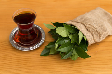 fresh tea sprouts and seeds in Rize from Turkey. step by step tea making stage.