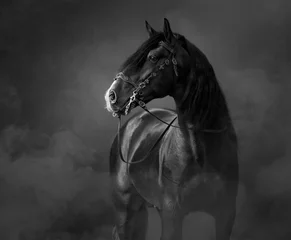 Fotobehang Paard Zwart-wit portret van zwart Andalusisch paard in lichte rook.