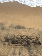 Obraz premium beach