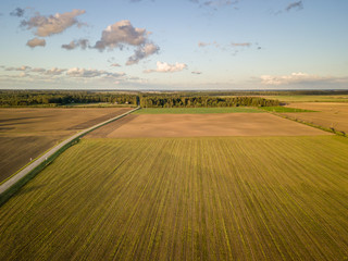Aerial view of agricultural fields in early autumn with forest in background