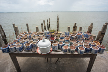 pier, and now the Ocean Sanctuary, Chittaphawan Monks College in Bang Lamung Thailand, near pattaya.