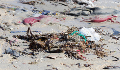 Environment concept, trash pollution on the beach