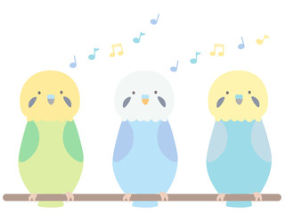 セキセインコ　さえずる3匹