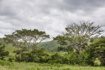 Obraz premium Kwazulu natal, South Africa.