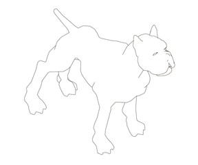 The contour of a muscular dog. The dog is ready. View isometric. Vector illustration.