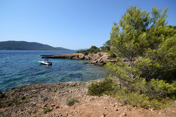 Fototapeta na wymiar Cala Bramassa in the coast of mediterranean sea of Porto Conte natural park, Sardinia Island, Italy