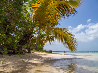 Fototapeta na wymiar The beautiful beaches of the Caribbean