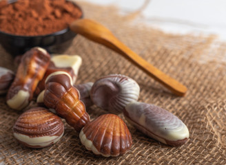 Fototapeta na wymiar Chocolate seafood, truffles 