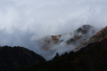 霧の大河原峠　秋