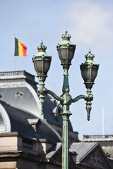 Fototapeta na wymiar drapeau belge Belgique palais royal