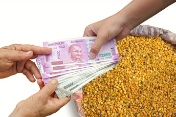 Indian cash money changing hands between a buyer and farmer