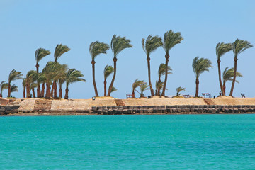 View of tropical resort with palm trees sand and sandy beach. Paradise rest on seashore of Red sea