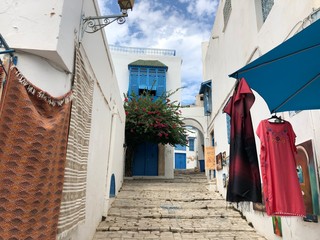 journey to the blue and white city of Sidi Bou said