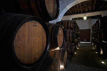 Cave de vin, chai de barriques et foudres de Porto rouge et blanc, Portugal