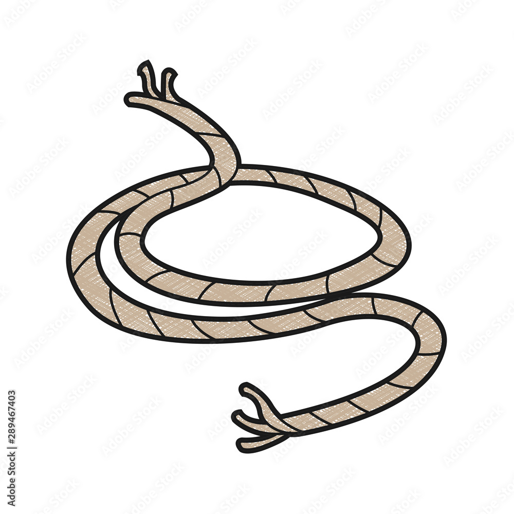 Poster rope design vector with texture colors