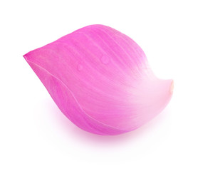 pink lotus petal with water drop isolated on white background