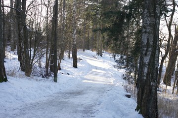 Finnish winter