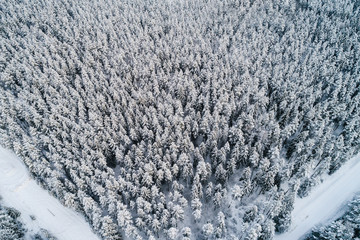 Aerial view of snow covered forest during sunny winter day.
