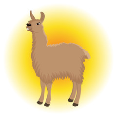 Cute cartoon llama of brown color against the background of the rising sun. Vector illustration. © Maryna