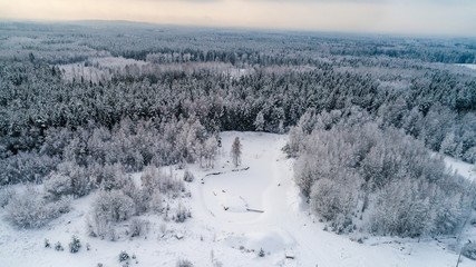 Aerial view of snow covered forest.